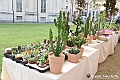 VBS_3672 - Floreal 2023 - Vivere con le piante